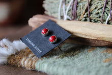 Load image into Gallery viewer, Red Coral Studs
